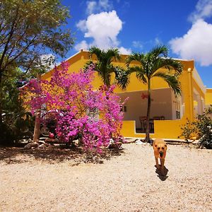 크랄렌데이크 Roadrunner-Bonaire 빌라 Exterior photo