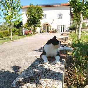 Caiazzo Le Piracante B&B Exterior photo