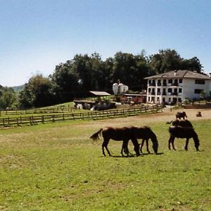 Rueglio Favetto Family Ranch B&B Exterior photo