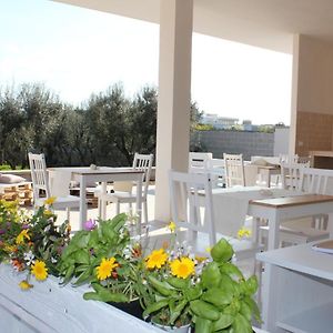 Piccolo Ulivo B&B Salento 베르놀레 Exterior photo