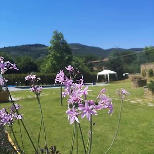 아레초 Alba Morus Bed E Breakfast Sentiti A Casa Nel Cuore Della Toscana B&B Exterior photo