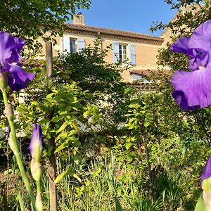 Valence-sur-Baise Le Petit Cochon B&B Exterior photo