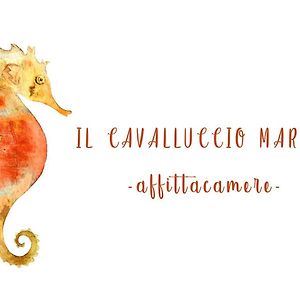 Il Cavalluccio Marino 호텔 마나롤라 Exterior photo