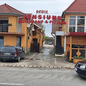 Pensiune Restaurant Ovidiu 호텔 Valea lui Mihai Exterior photo