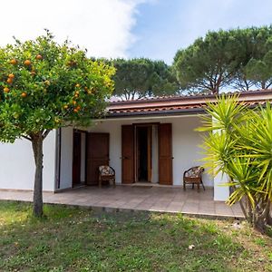 Villa Luisa - Your Holiday In Sardinia 사사리 Exterior photo