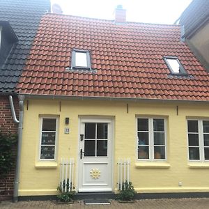 프리드리히슈타트 Ferienhaus - Sonnenhaus 빌라 Exterior photo