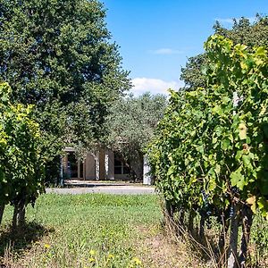 Ordonnac Au Detour Des Vignes B&B Exterior photo