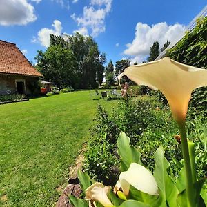 Rubrouck La Flandre Entre Plaine, Mer Et Marais B&B Exterior photo