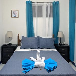 Entire Comfy Apartment For You, 5 Min Sjo Airport 알라후엘라 Exterior photo