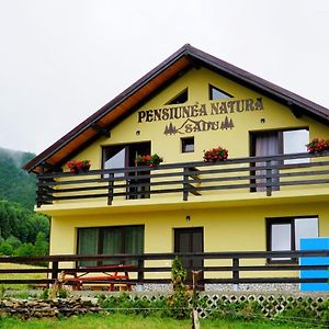 Pensiunea Natura Sadu 시비우 Exterior photo