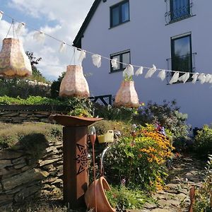 에렌프리더스도르프 Im Erzgebirge Wandern, Fahrrad Fahren Oder Entspannen 아파트 Exterior photo