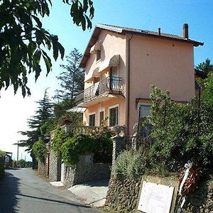 La Tana Del Tasso Ventimiglia B&B Exterior photo