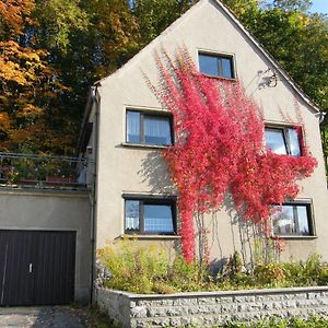 Ebersbach-Neugersdorf Unser Ferienhaus 빌라 Exterior photo