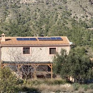 Cuesta Alta Casa Buena Vista - Campo De Ricote 빌라 Exterior photo