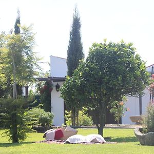 Casa Dos Meus Avos -Villas - Gaia & Porto 빌라노바데가이아 Exterior photo