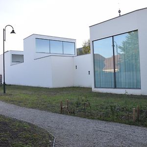 Zulte Cacele Raveelzicht 빌라 Exterior photo