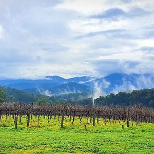 Gladysdale Kinam Vinea - A Vineyard Farmhouse In The Yarra Valley 빌라 Exterior photo