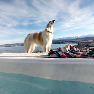 Vully-les-Lacs Swiss Borzoi House B&B Exterior photo