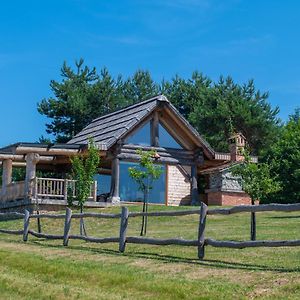 Holiday Home Ernest Zelezni With Hot Tub 이반치나고리차 Exterior photo