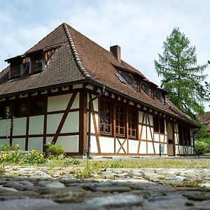 Schloss Hohenfels/ Gaestehaus Morgenrot 호텔 Hohenfels  Exterior photo