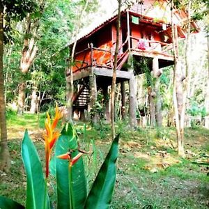 코야오노이 Treehouse Holidays-Garden View 빌라 Exterior photo