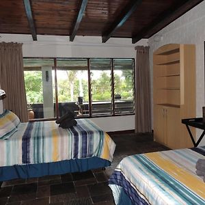 Saint Lucia Estuary Bushpigs Haven 아파트 Exterior photo