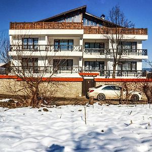 Family Hotel Andreev 도브리니쉬트 Exterior photo