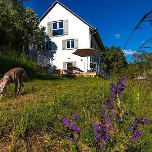 Freistehendes Ferienhaus Mit Kamin, Sauna, Atemberaubenden Blick Ins Tal, Mehrere Terrassen, 1500Qm Grundstuck 1,6M Hoch Eingezaunt Gerabronn Exterior photo