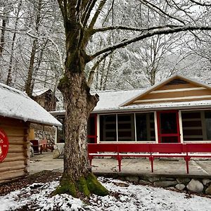 타운센드 Beary Relaxing Cabin - Rustic With Outdoor Patio 빌라 Exterior photo