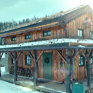 Benesov  Chalet Boruvka - Biofarma Na Samote V Lesich 빌라 Exterior photo