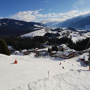 미테르질 Panorama Chalet 빌라 Exterior photo