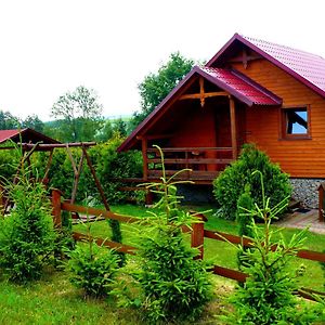 Dubiecko Agroturystyka Zielona Zagroda W Kosztowej 빌라 Exterior photo