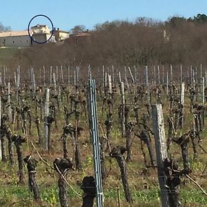 Saint-Vivien-de-Blaye Superbe Gite A La Campagne Dans Le Bordelais 아파트 Exterior photo