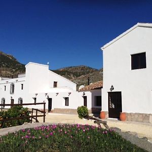 Cortijo Mariposa. Independent Two Bedroomed Holiday Home 알복스 Exterior photo