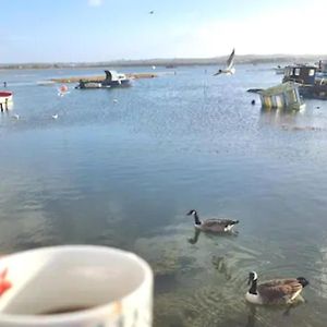 Holes Bay Nature Reserve, Poole, Right Next To The Water 빌라 Exterior photo