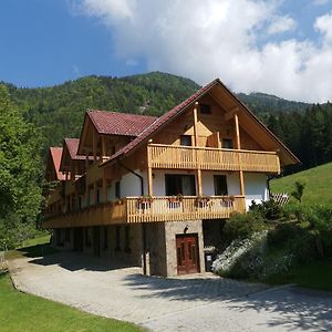 Turisticna Kmetija Zgornji Zavratnik 호텔 Luče Exterior photo