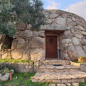 Oschiri Il Nuraghe Del Lago Coghinas B&B Exterior photo