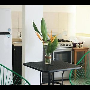 Room In Guest Room - Apartment With Blacony And Sea View 푸에르토 에스콘디도 Exterior photo