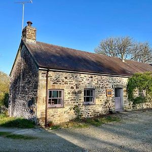 Llandysul The Rose Barn, Ysgubor Y Rhosyn 빌라 Exterior photo