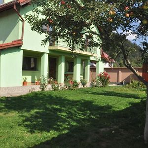 Vilman House 호텔 Rîşnov Exterior photo