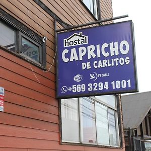 Hostal Capricho De Carlitos 호텔 발디비아 Exterior photo