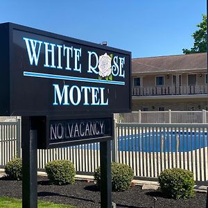 White Rose Motel - 허시 Exterior photo