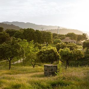 Carrascalejo Los Chozos Del Geoparque 게스트하우스 Exterior photo