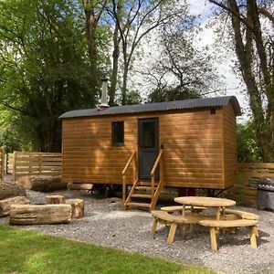 Herdwick Shepherd Hut 호텔 엑서터 Exterior photo