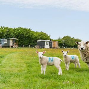 Take Time Shepherd'S Huts By Bloom Stays 에거튼 Exterior photo