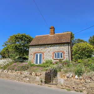 Ladylands Cottage 뉴포트 Exterior photo