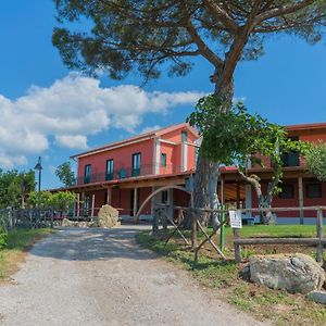 몬테코르비노 푸글리아노 Terra Di Vento B&B Exterior photo