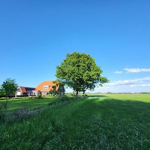 Terschuur Bed & Breakfast De Vink B&B Exterior photo