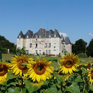 Dange-Saint-Romain Chateau De Piolant B&B Exterior photo