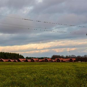 Borowy Mlyn Kaszubska Odskocznia Ostoja Bukowo 빌라 Exterior photo